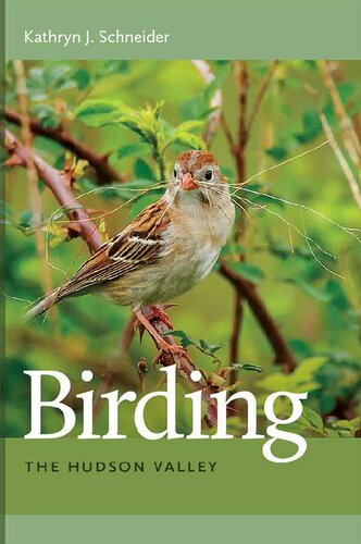 Birding the Hudson Valley