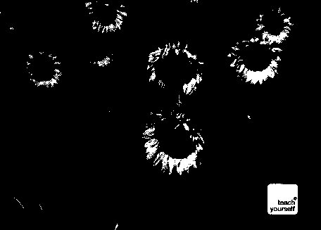 Teach Yourself Bulgarian