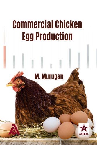Commercial chicken egg production