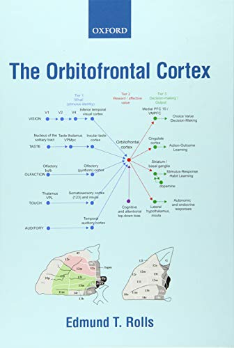 The Orbitofrontal Cortex
