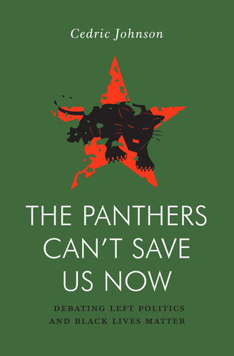 The Panthers Can’t Save Us Now: Debating Left Politics and Black Lives Matter