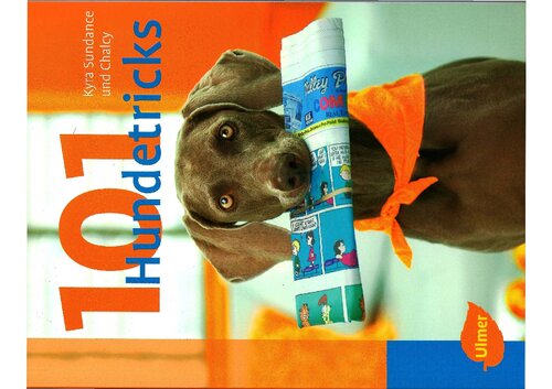 101 Hundetricks