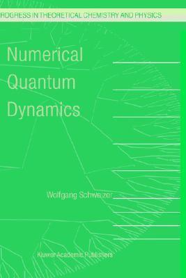 Numerical Quantum Dynamics