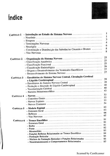 Neuroanatomia: Pintar para aprender