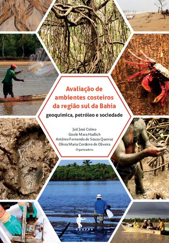 Avaliação de ambientes costeiros da região sul da Bahia: geoquímica, petróleo e sociedade