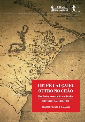 Um pé calçado, outro no chão: liberdade e escravidão em Sergipe (Cotinguiba, 1860-1900)