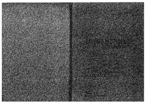Calcolo Elettronico nell'ingegneria chimica