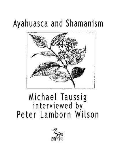 Ayahuasca and Shamanism: Michael Taussig interviewed by Peter Lamborn Wilson
