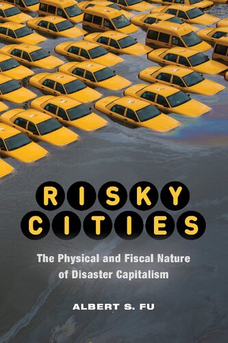 Risky Cities: The Physical and Fiscal Nature of Disaster Capitalism
