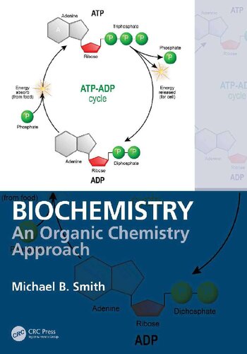 Biochemistry An Organic Chemistry Approach (2020)