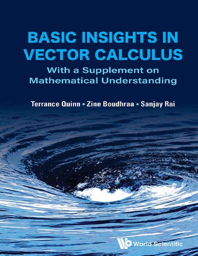 Basic Insights in Vector Calculus with a Supplement on Mathematical Understanding
