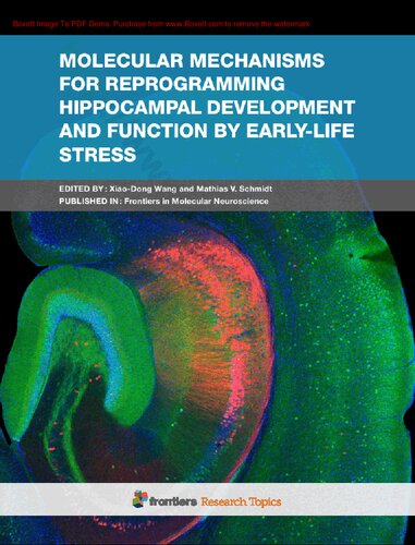 Molecular mechanisms for reprogramming hippocampal development and function by early-life stress