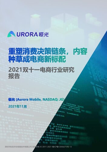 2021双十一电商行业研究报告