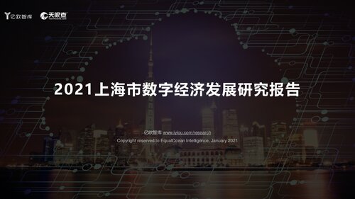 2021上海市数字经济发展研究报告 _2021-01-24