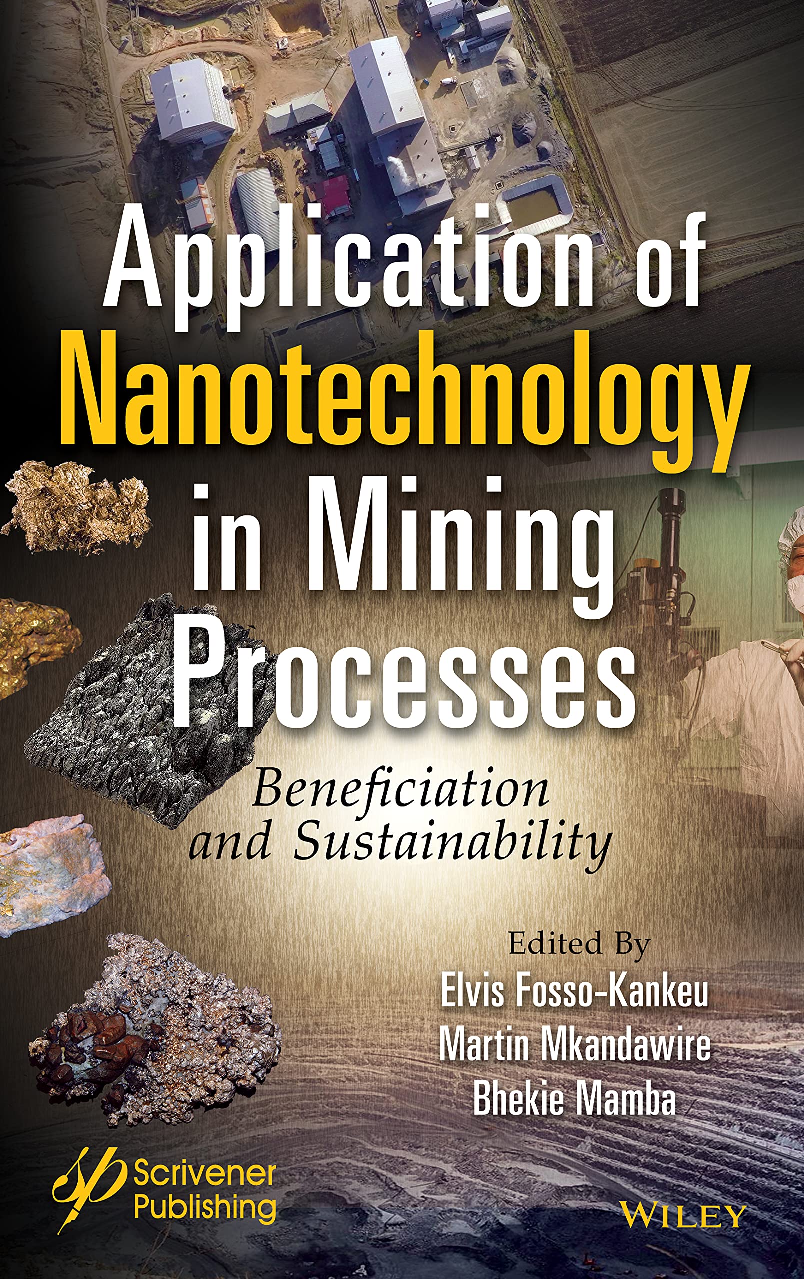Application of Nanotechnology in Mining Processes: Beneficiation and Sustainability