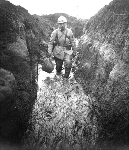 The French Army on the Somme 1916