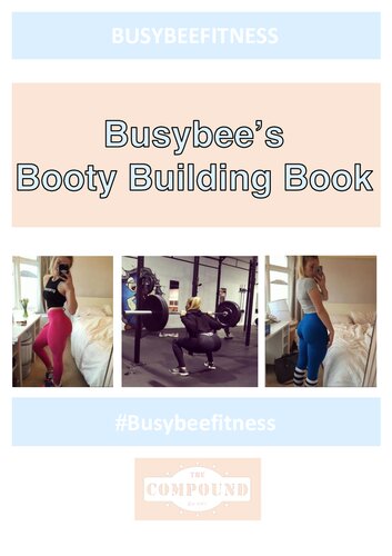 Busybee's Booty building book