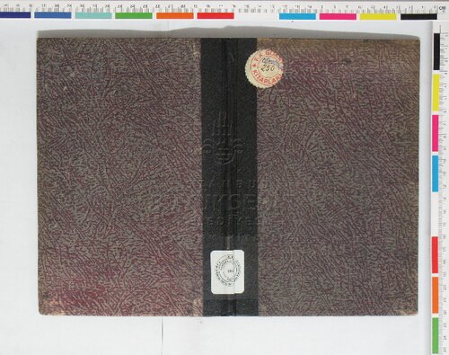 Yenı Türk alfabesı: ımlâ ve tasrif şekilleri. يكى تورك آلفابەسى: املا و تصريف شكللرى