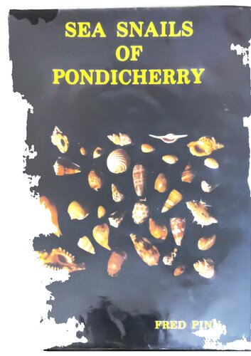 Sea Snails of Pondicherry