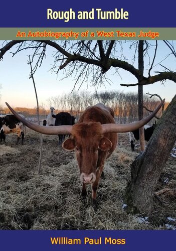 Rough and tumble : the autobiography of a west Texas judge