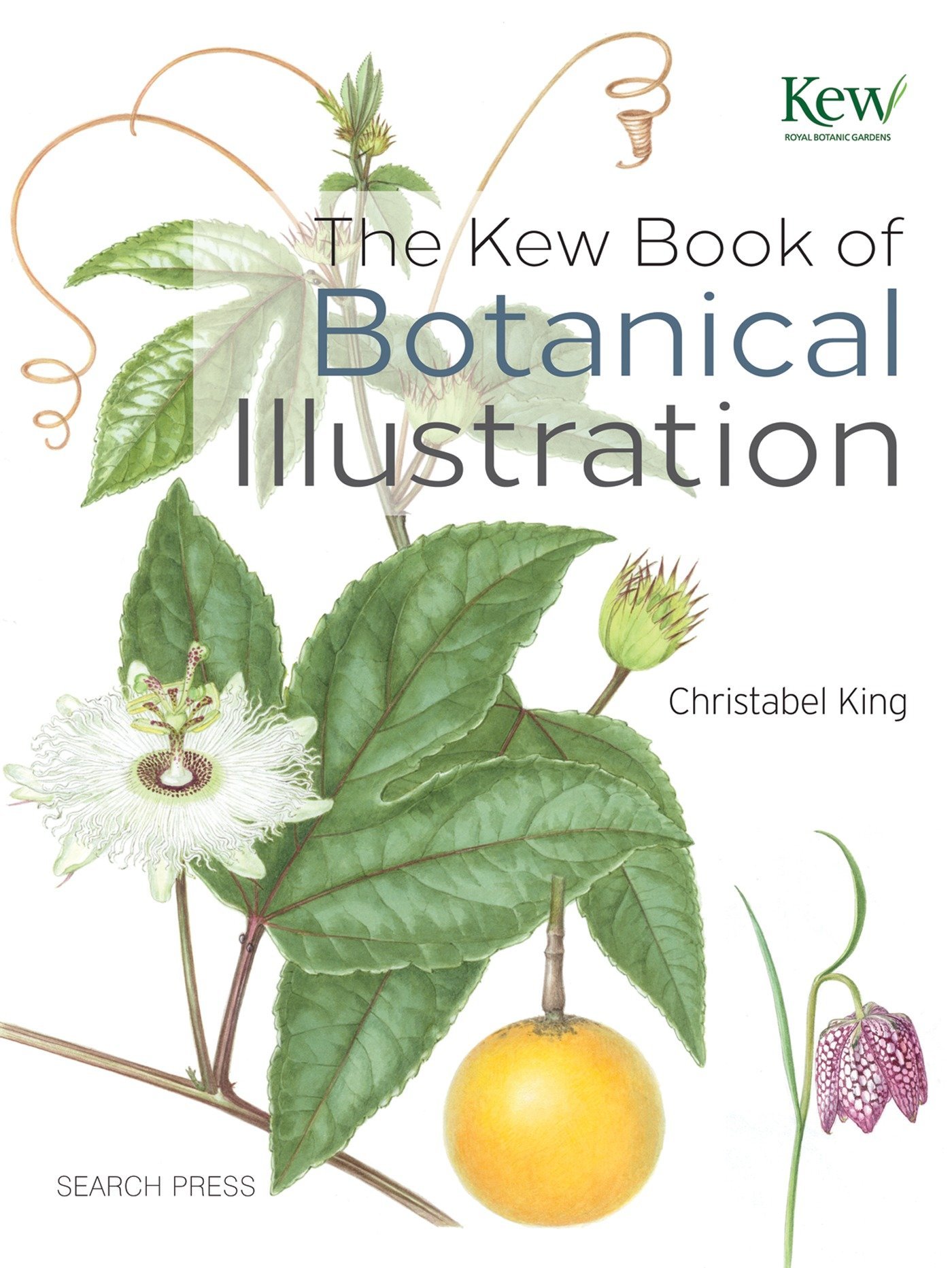 The Kew Book of Botanical Illustration