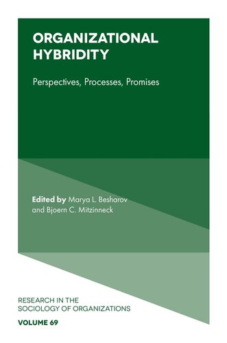 Organizational hybridity : perspectives, processes, promises