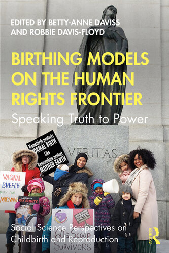 Birthing models on the human rights frontier : speaking truth to power