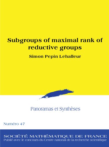 Subgroups of maximal rank of reductive groups
