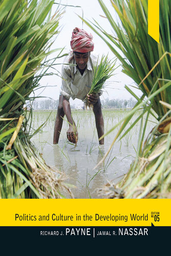 Politics and Culture in the Developing World