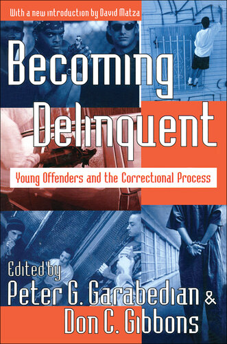 Becoming delinquent : young offenders and the correctional process