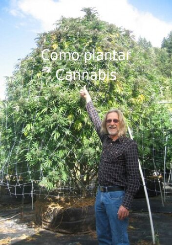 Como plantar cannabis (maconha) - manual, guia