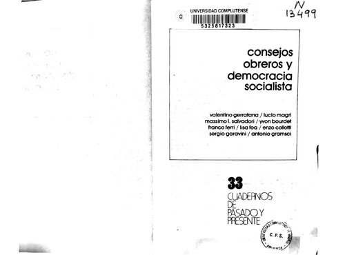 Consejos obreros y democracia socialista