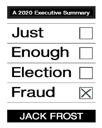 Just Enough Election Fraud, A 2020 Executive Summary