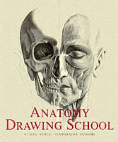 Anatomy Drawing School