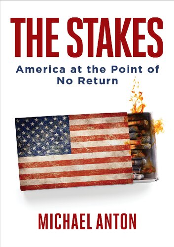 The Stakes; America at the Point of No Return (2020)-