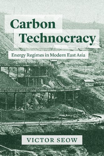 Carbon Technocracy: Energy Regimes in Modern East Asia