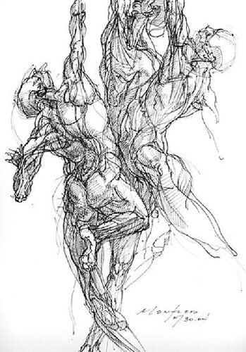 Anatomy for the Artist