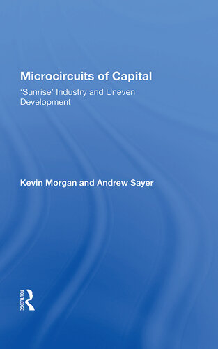 Microcircuits of Capital: Sunrise' Industry and Uneven Development