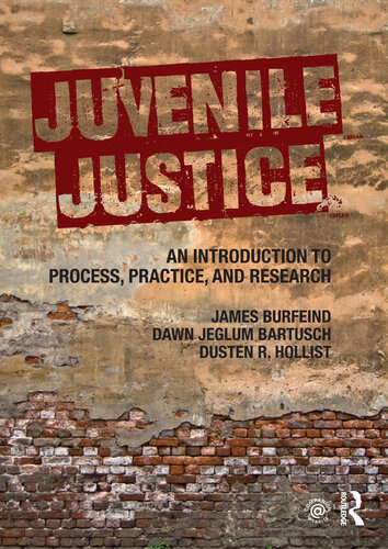 Juvenile justice : an introduction to process, practice, and research
