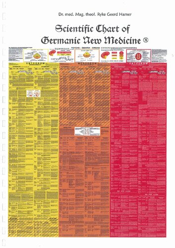 German New Medicine - Scientific Chart PDF - Correlations between the three embryonic germ layers and Significant Biological Special Programs (SBS) of Nature on the three levels PSYCHE - BRAIN - ORGAN, based on the Five Biological Natural Laws of German New Medicine ® by Dr Ryke Geerd Hammer
