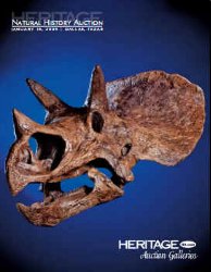 Natural History Auction #6012