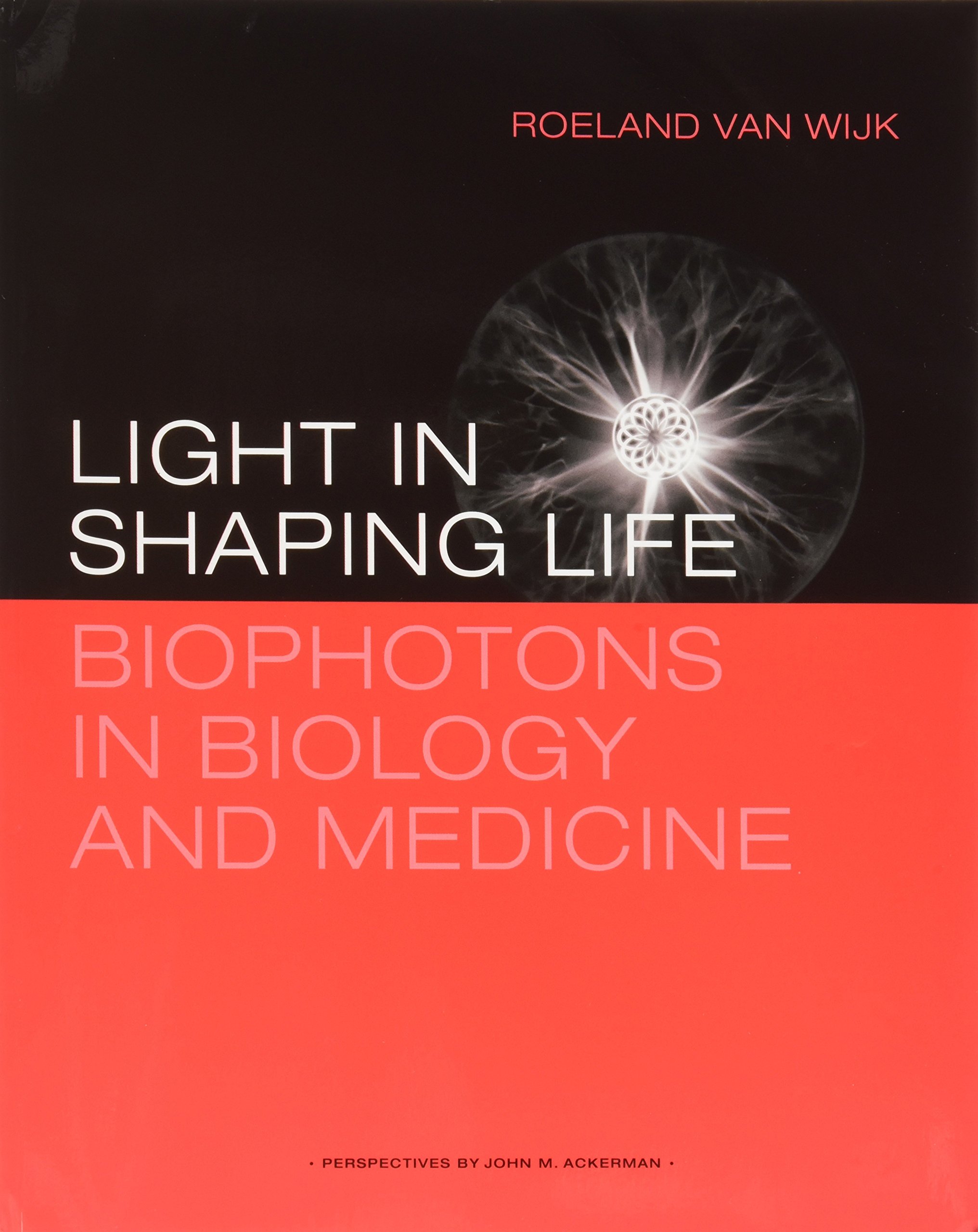 Light in shaping life: Biophotons in biology and medicine