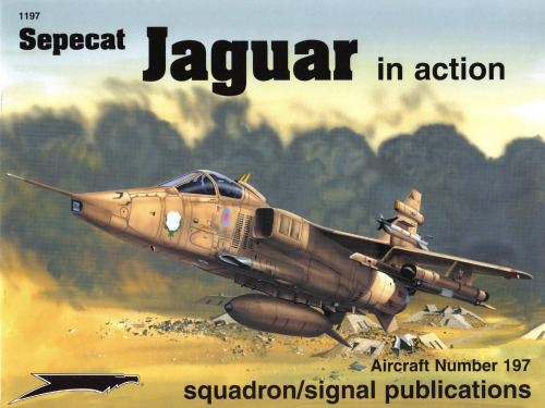 Sepecat Jaguar In Action