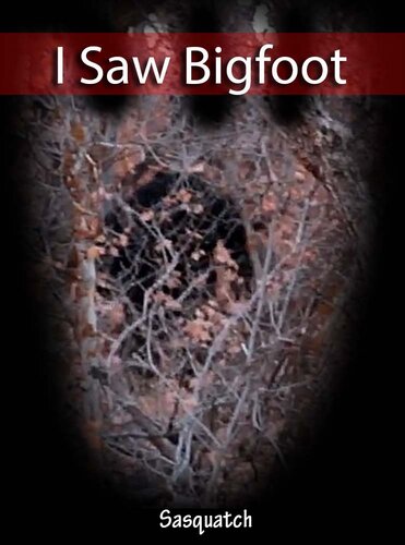 I Saw Bigfoot