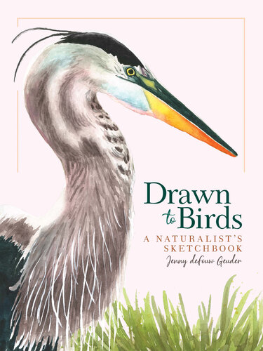 Drawn to Birds: A Naturalist's Sketchbook