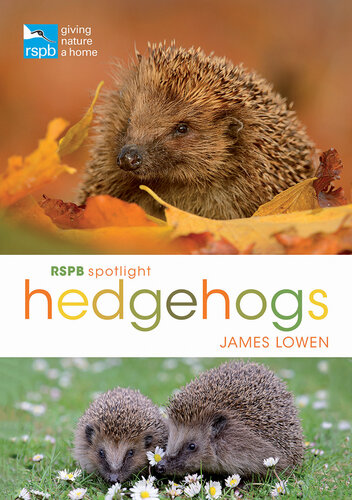 Spotlight: Hedgehogs