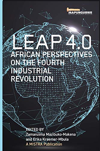 Leap 4.0. African Perspectives on the Fourth Industrial Revolution: African Perspectives on the Fourth Industrial Revolution