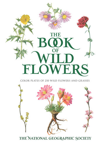 The Book of Wild Flowers: Color Plates of 250 Wild Flowers and Grasses