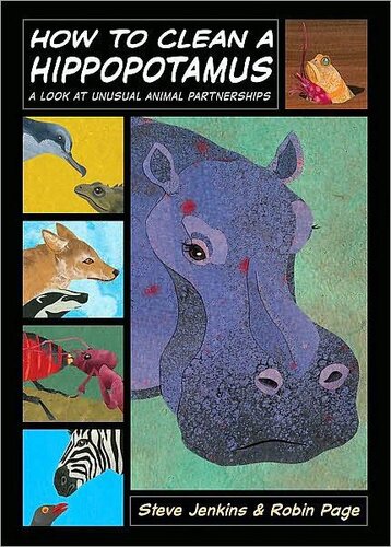 How to Clean a Hippopotamus: A Look at Unusual Animal Partnerships