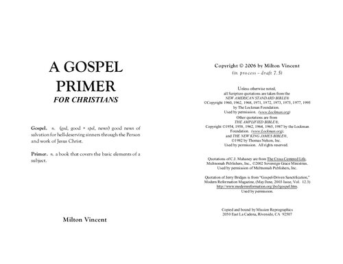 A Gospel Primer for Christians: Learning to See the Glories of God's Love